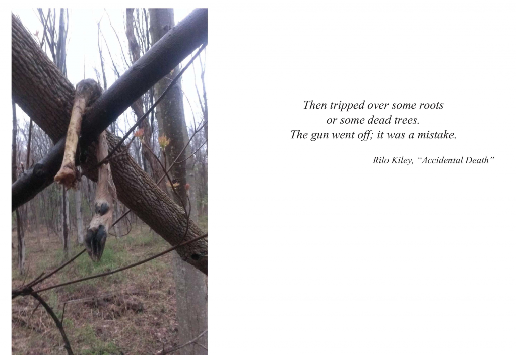 Underworld Images for Boilerplate-2