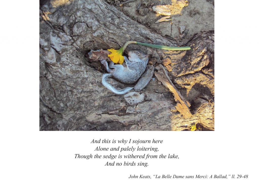 Underworld Images for Boilerplate-7